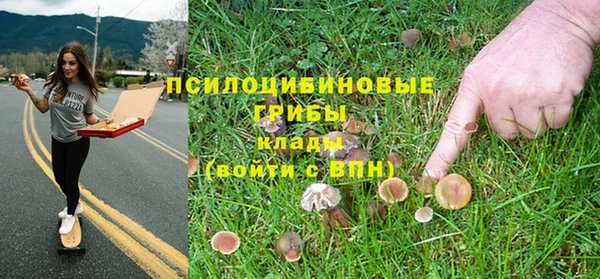 ПСИЛОЦИБИНОВЫЕ ГРИБЫ Абдулино