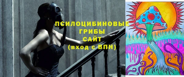 ПСИЛОЦИБИНОВЫЕ ГРИБЫ Абдулино