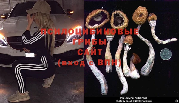 кокс Абаза