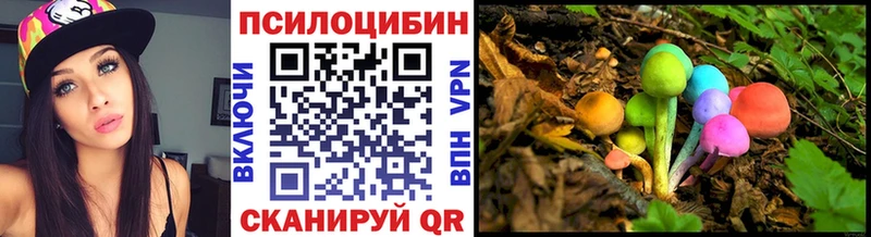 Галлюциногенные грибы мухоморы  где найти наркотики  Западная Двина 